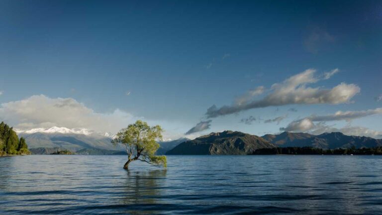 What Bonus Do I Get After 11Xplay New Id Sign-Up?